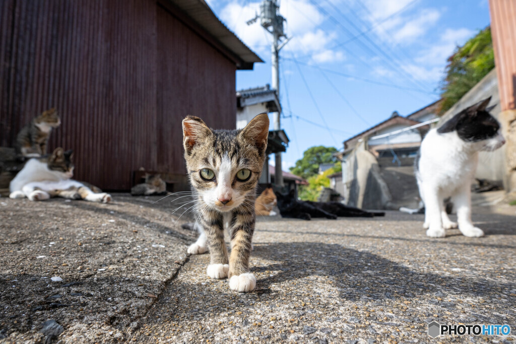 ずいっとね