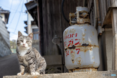 プリティーな女の子