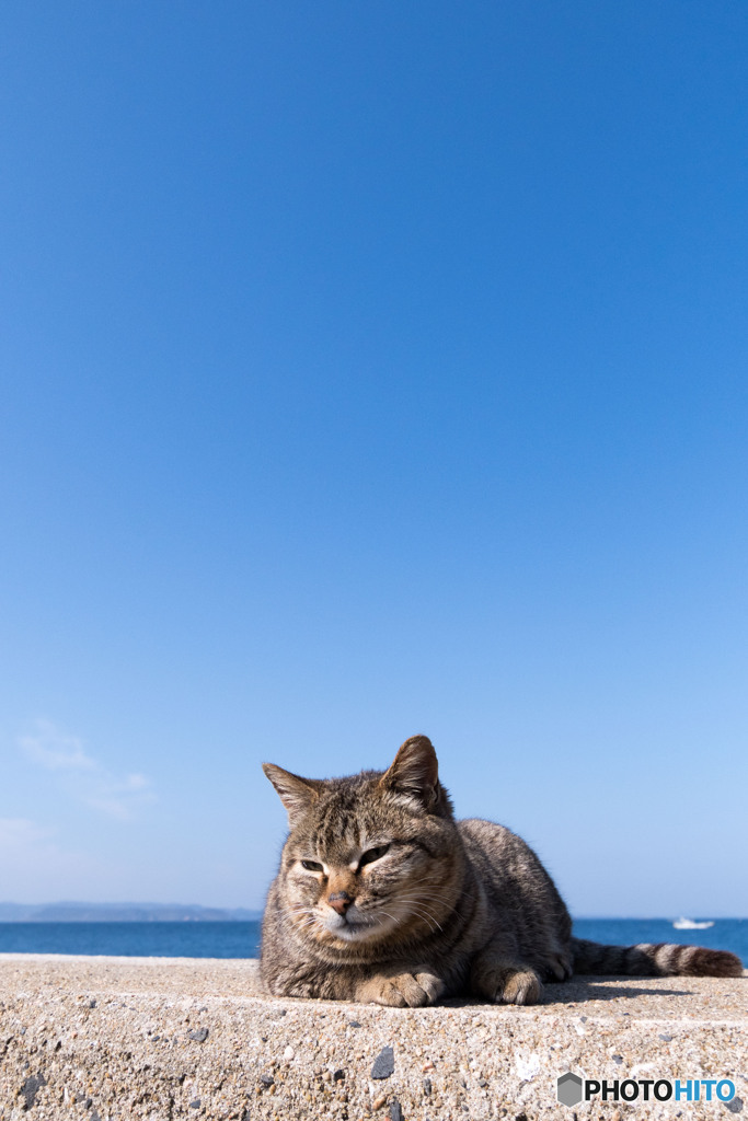 なんかええ心地です