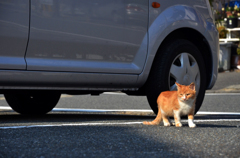 ママは・・・どこかしら