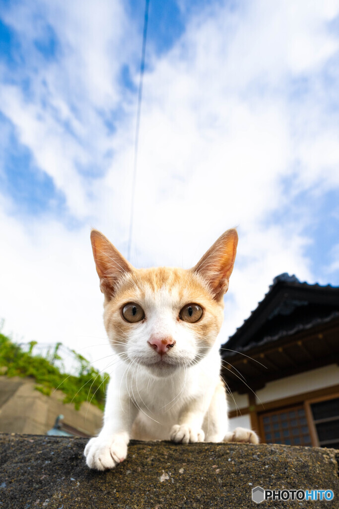 お寺でおにゃ～