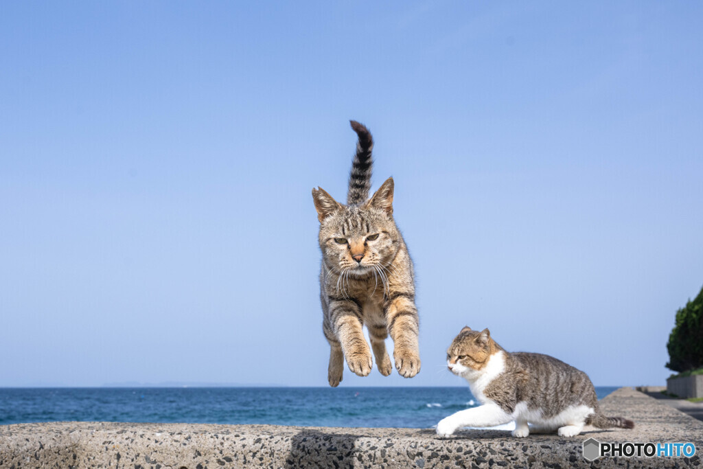 よいしょっと