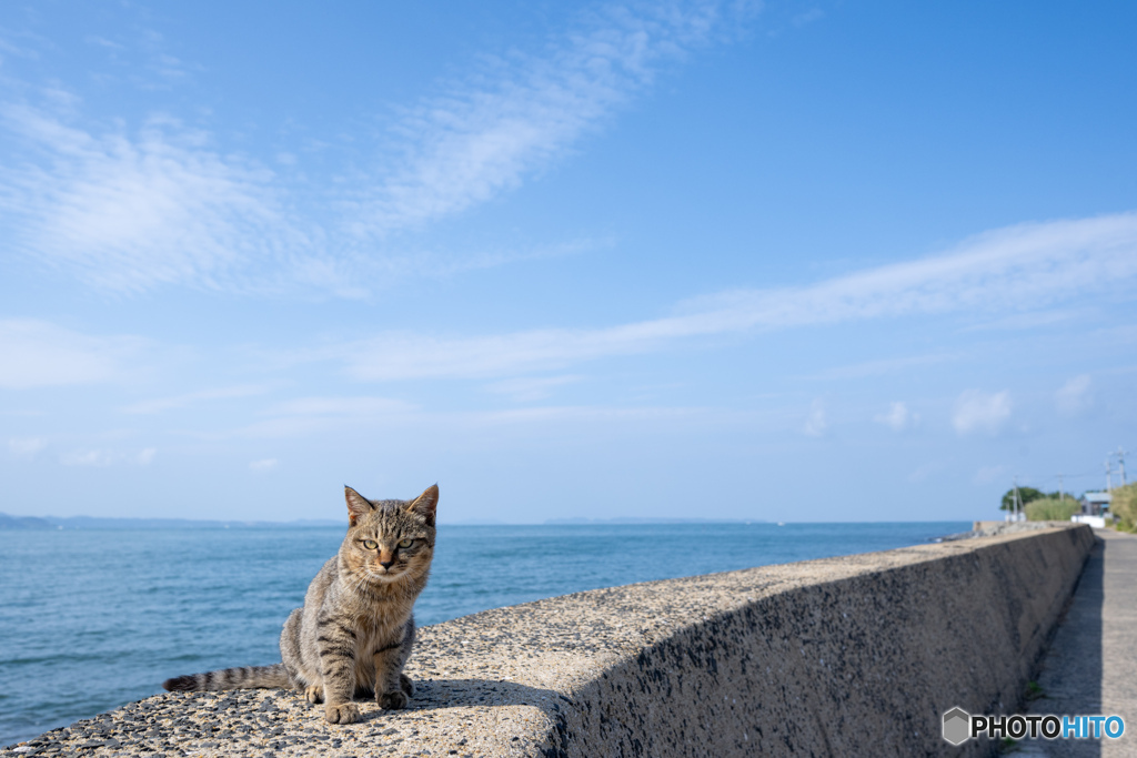 僕の空。僕の海。