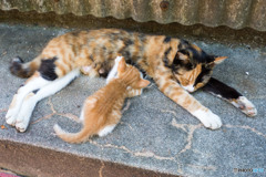 お母さんと（1）