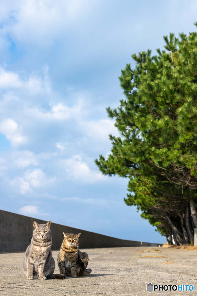 久々の親子ツーショット