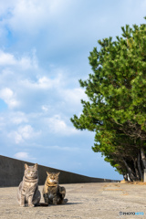 久々の親子ツーショット