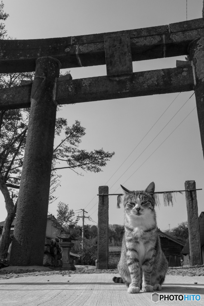 神社でうにゃにゃ