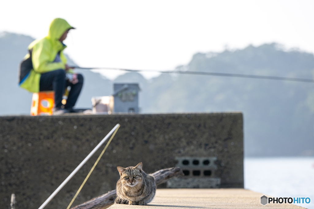 お腹空いてます