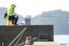 お腹空いてます