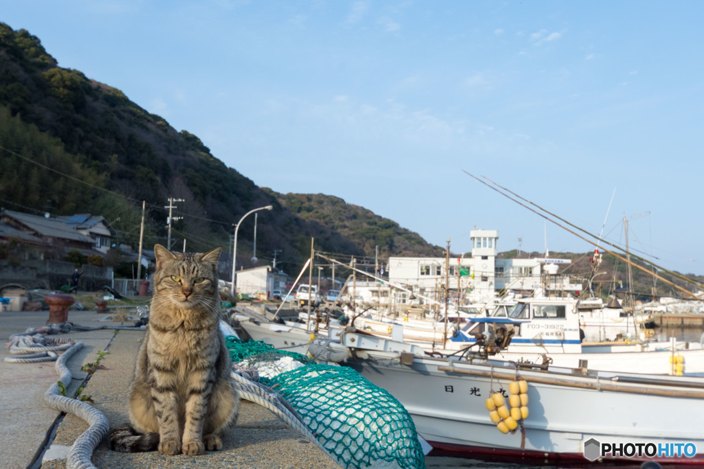 お見送りありがとね