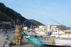 お見送りありがとね