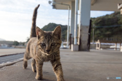 (^_^)／おはよー、おチビさん（2）
