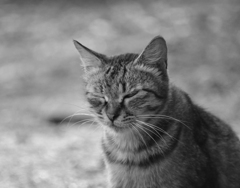 ウインクがうまくできません