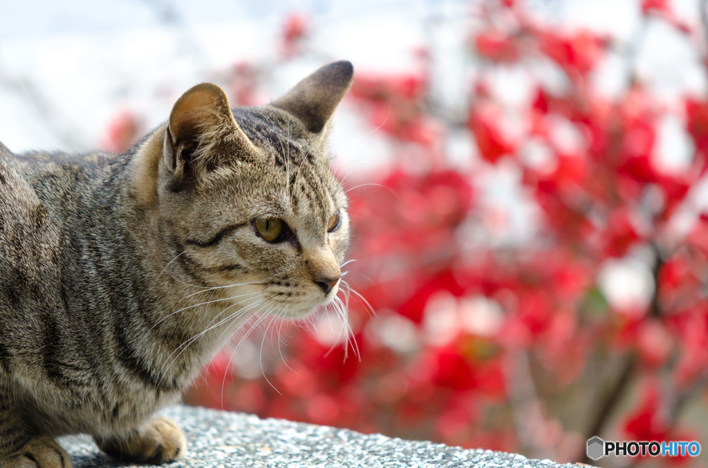 知っているのに知らんふり～