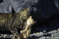 お仕事中のママ（3）