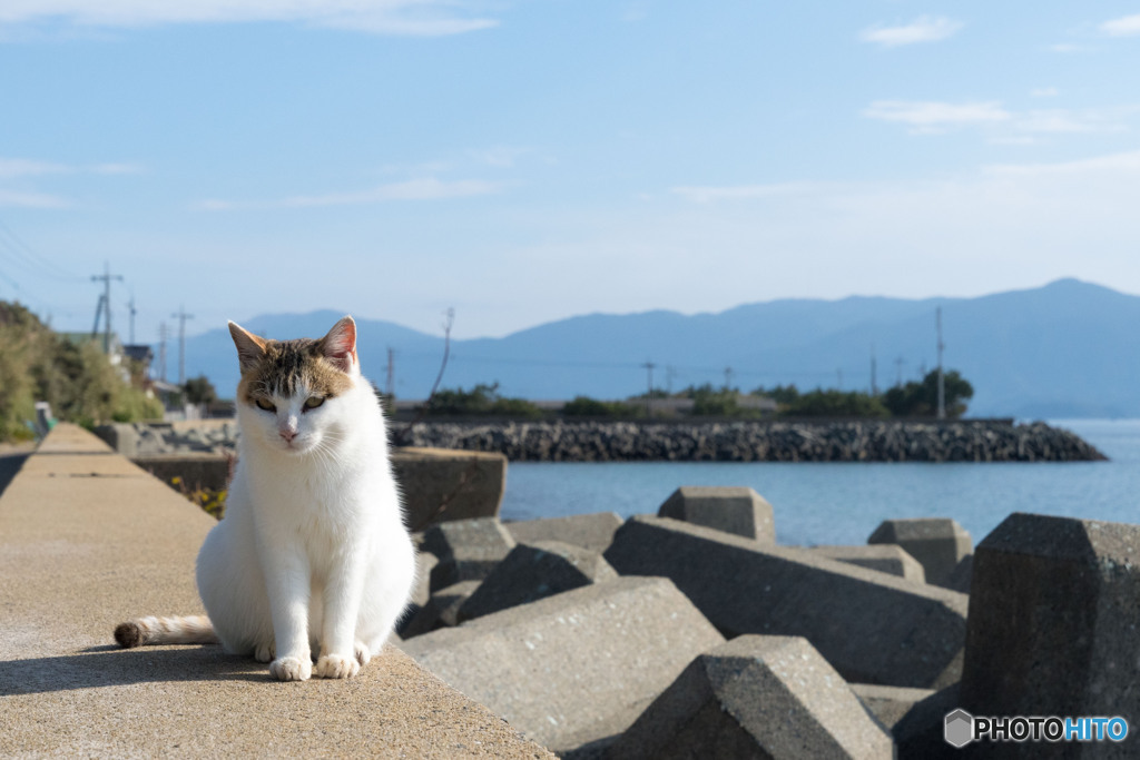 師走。つかの間の晴れ。