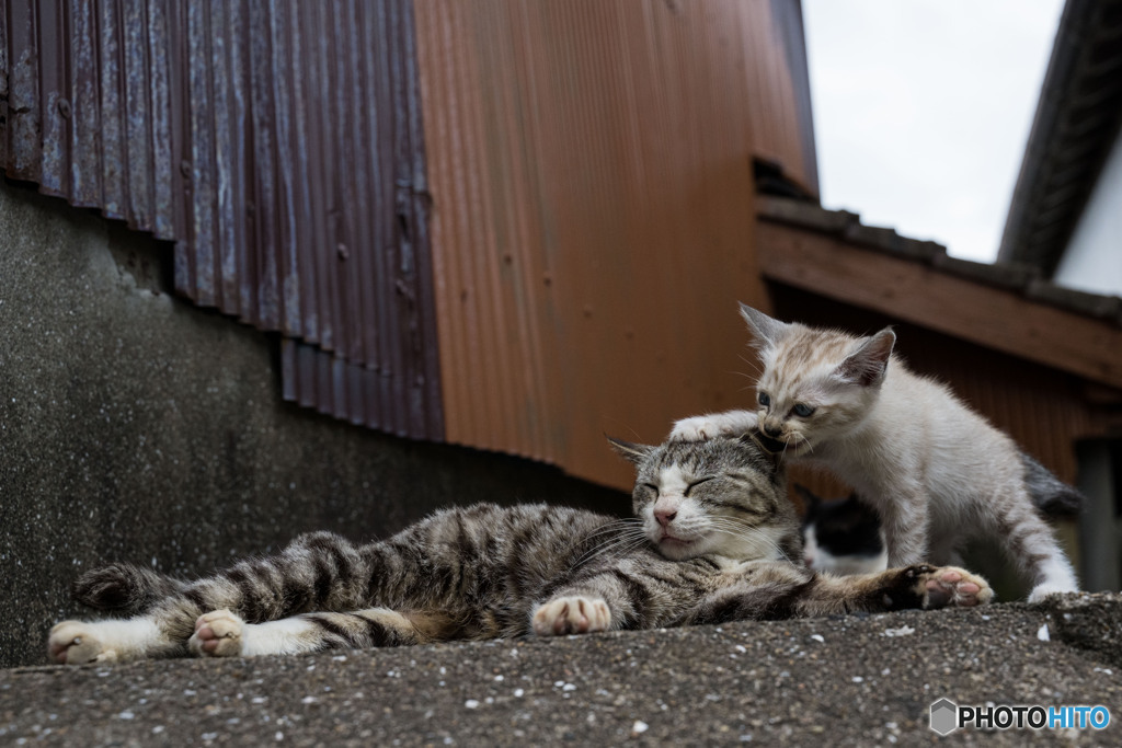 お母ちゃんと遊ぼう！（3）