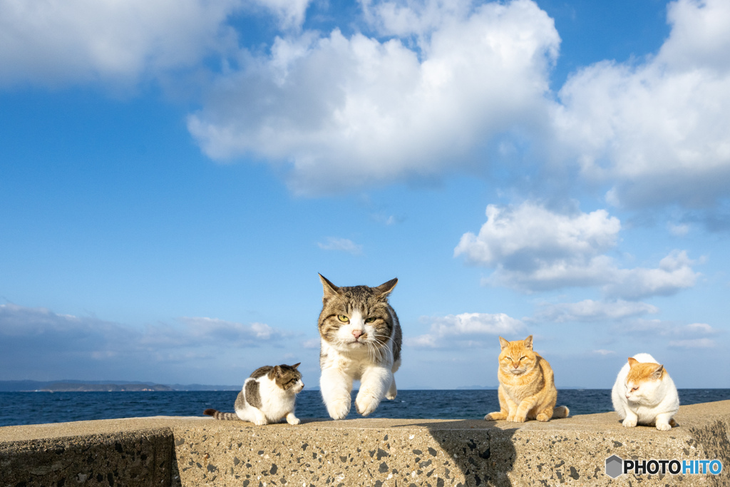 まっしぐら