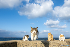 まっしぐら