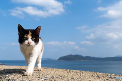 歩いて行こう。自分の歩幅で行こう。