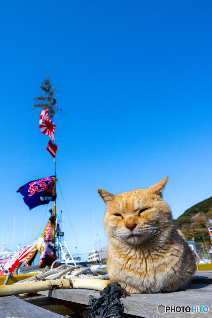 青空の元旦