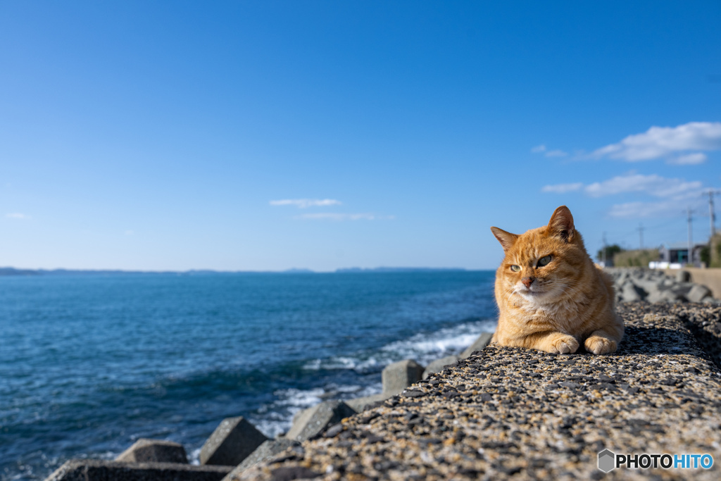 海辺のチャトくん
