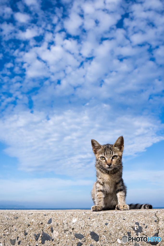 ぼくの空