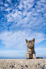 ぼくの空