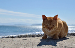 なんだか・・・・眠い