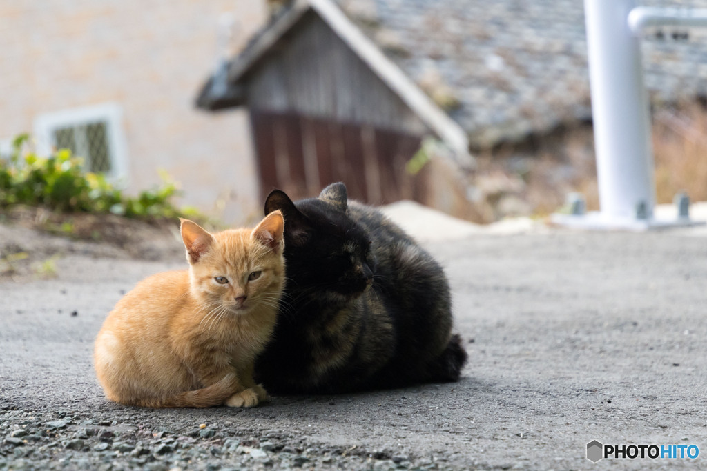 お母ちゃんの横はあったかい