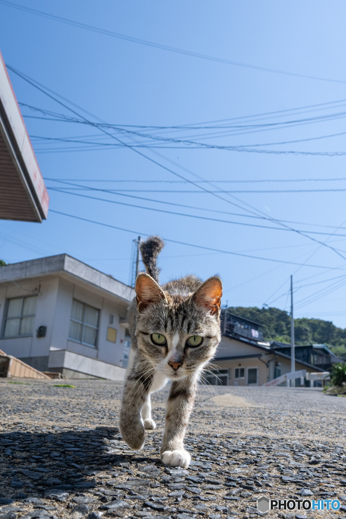おはようのご挨拶