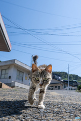 おはようのご挨拶