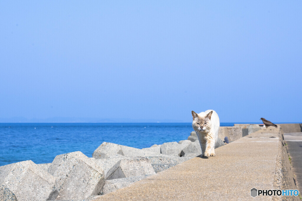 おはよう