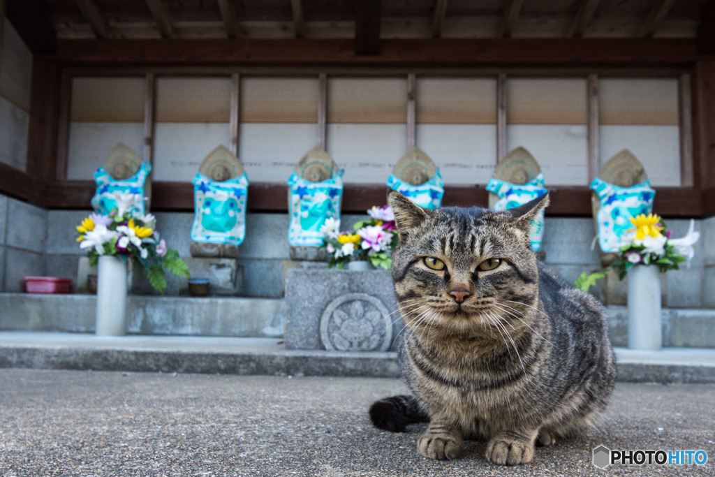 お地蔵様の前で