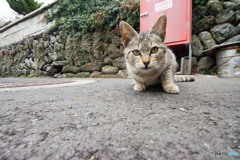 良い子