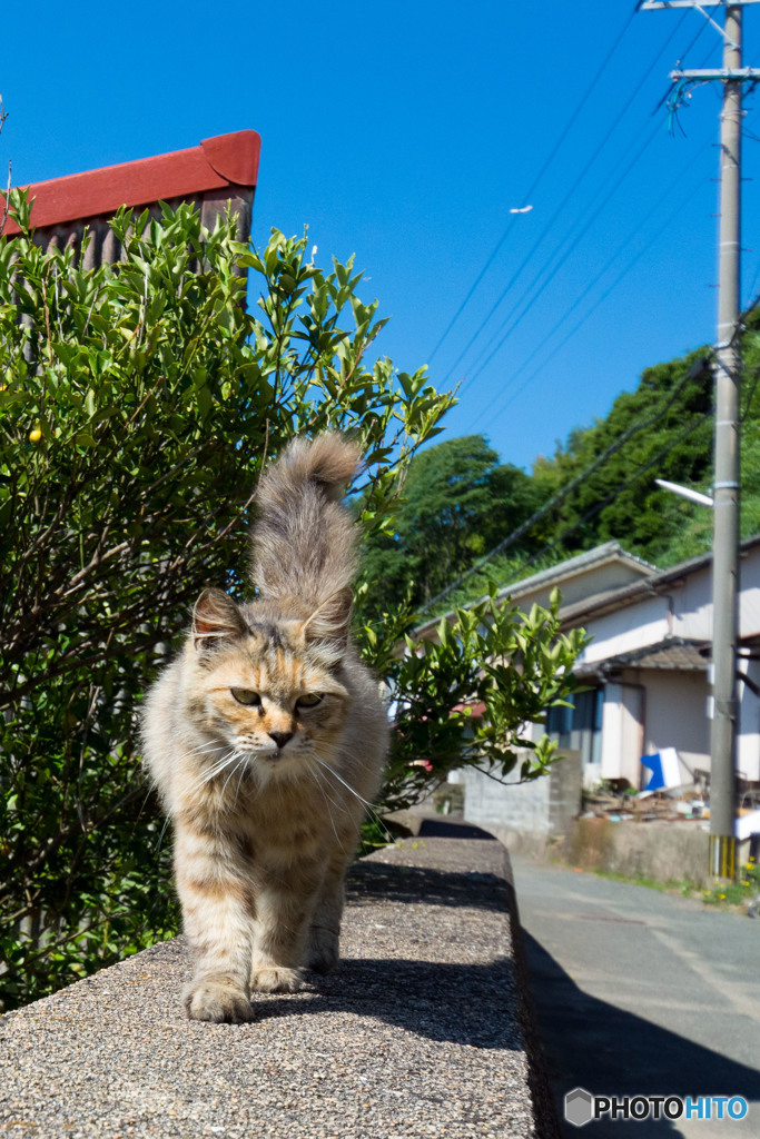 ワタシもお元気