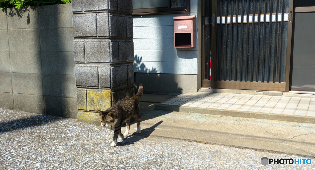 行ってきま～