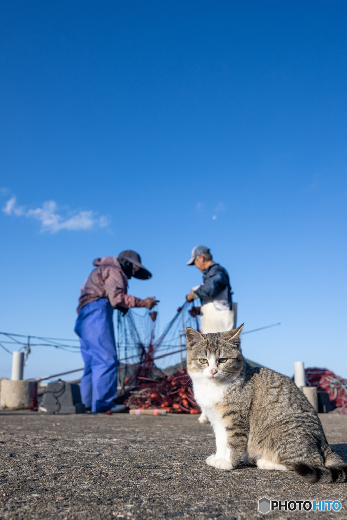 今日はお魚獲れていないんですって