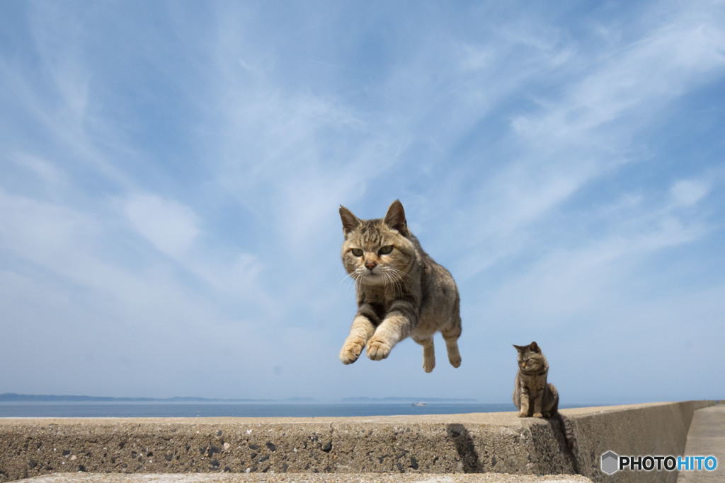 飛びま～す