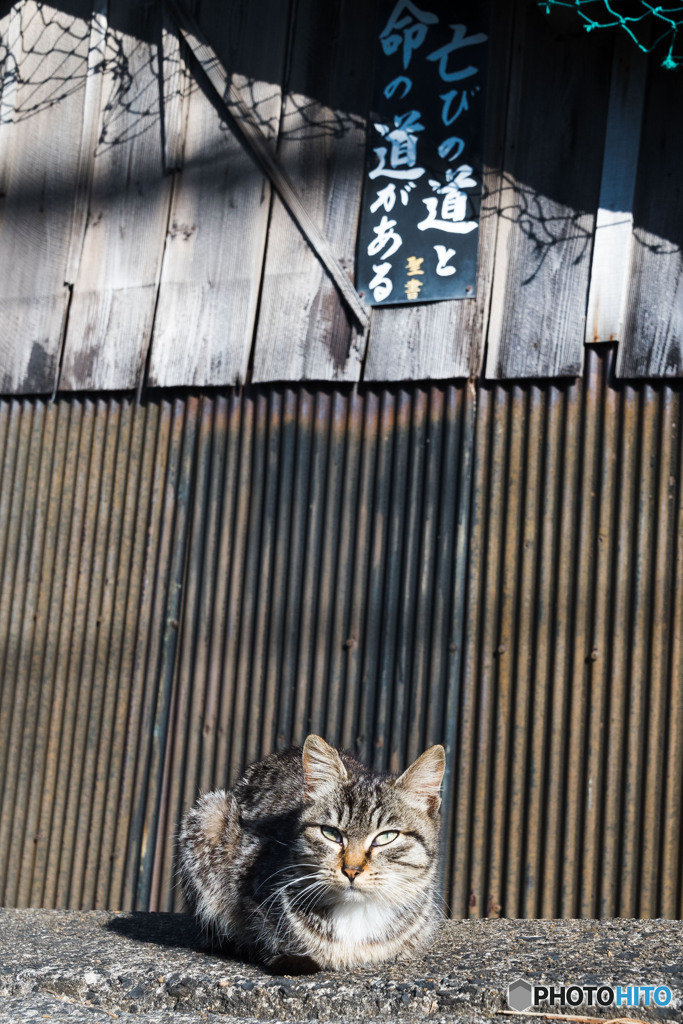 勉強しなくちゃ