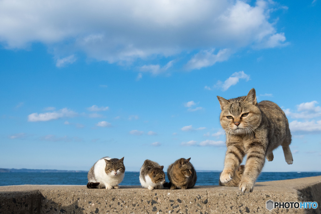 飛行隊のお姉さん