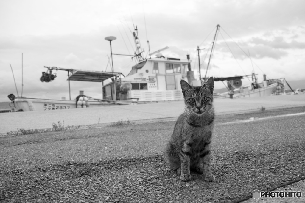 お母しゃん