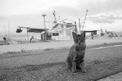 お母しゃん