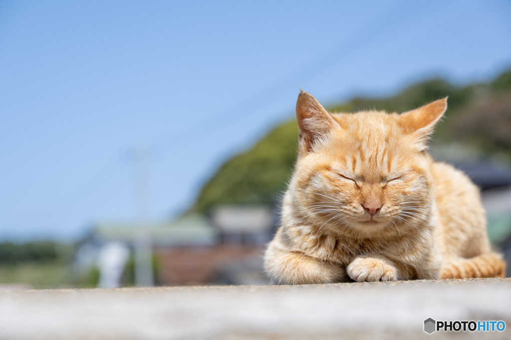おねむ
