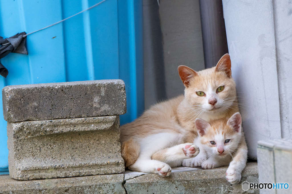 お母ちゃんとおチビ