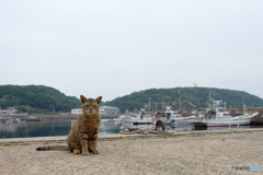 梅雨の日の大沢くん