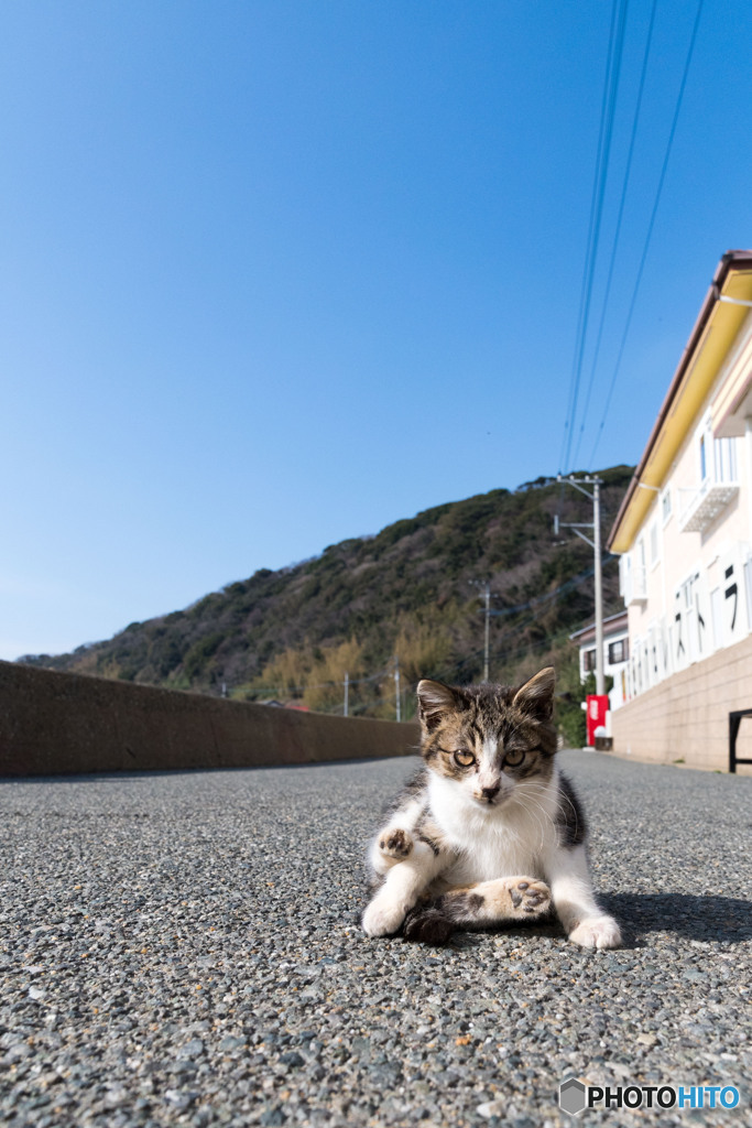 おにゃっ