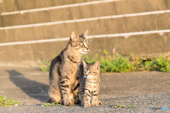 早朝うにゃにゃ（2）