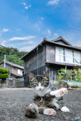 決めポーズ