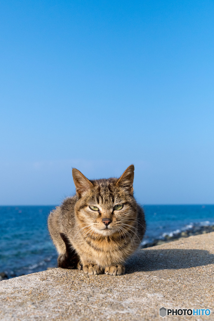 冬の青空